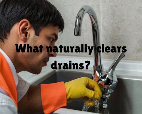 plumber naturally cleared drain