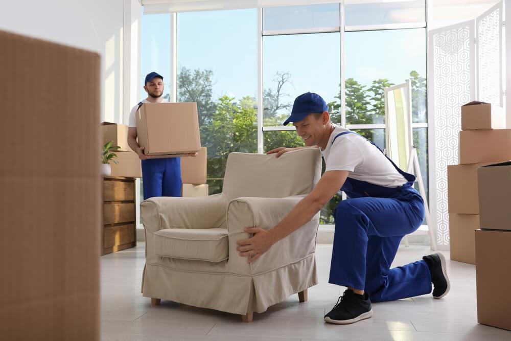 Moving Company Sales Growth